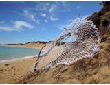 Beach of Australia